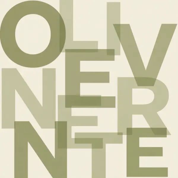Olivenernte für hochwertiges Olivenöl